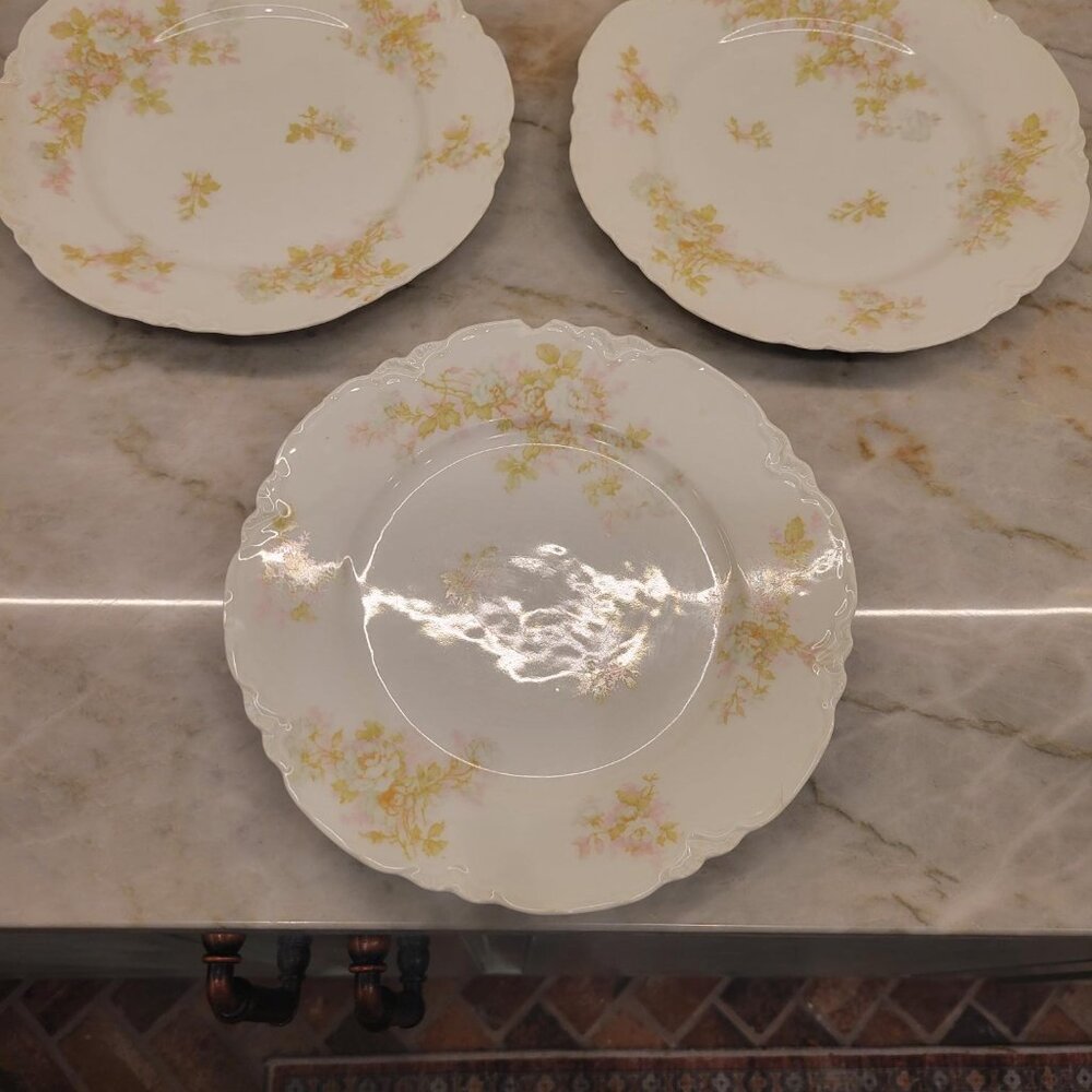 3 Vintage Haviland Limoges Luncheon plates--"Bretagne" Pattern